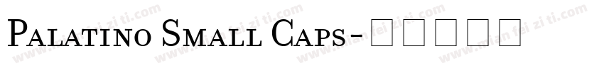 Palatino Small Caps字体转换